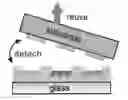 Fig. 01 - METHOD TO GENERATE BIOMOLECULAR MICRO- AND NANO-PATTERNS BY PARTICLE PRINTING LITHOGRAPHY