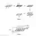 Fig. 02 - METHOD TO GENERATE BIOMOLECULAR MICRO- AND NANO-PATTERNS BY PARTICLE PRINTING LITHOGRAPHY