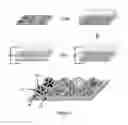Fig. 03 - METHOD TO GENERATE BIOMOLECULAR MICRO- AND NANO-PATTERNS BY PARTICLE PRINTING LITHOGRAPHY