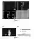 Fig. 05 - METHOD TO GENERATE BIOMOLECULAR MICRO- AND NANO-PATTERNS BY PARTICLE PRINTING LITHOGRAPHY