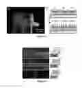 Fig. 07 - METHOD TO GENERATE BIOMOLECULAR MICRO- AND NANO-PATTERNS BY PARTICLE PRINTING LITHOGRAPHY