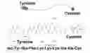 Fig. 01 - SERS-BASED, SINGLE STEP, REAL-TIME DETECTION OF PROTEIN KINASE AND/OR PHOSPHATASE ACTIVITY