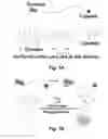 Fig. 02 - SERS-BASED, SINGLE STEP, REAL-TIME DETECTION OF PROTEIN KINASE AND/OR PHOSPHATASE ACTIVITY