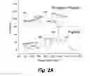 Fig. 04 - SERS-BASED, SINGLE STEP, REAL-TIME DETECTION OF PROTEIN KINASE AND/OR PHOSPHATASE ACTIVITY