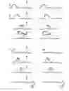 Fig. 01 - Coagulation factor IX compositions and methods of making and using same
