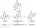 Fig. 01 - READY-TO-USE BIVALIRUDIN COMPOSITIONS