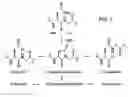 Fig. 02 - READY-TO-USE BIVALIRUDIN COMPOSITIONS