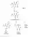 Fig. 03 - READY-TO-USE BIVALIRUDIN COMPOSITIONS