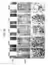 Fig. 07 - GENE EXPRESSION INHIBITOR SELECTIVE FOR MATRIX METALLOPROTEINASE-9 GENE