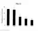 Fig. 09 - GENE EXPRESSION INHIBITOR SELECTIVE FOR MATRIX METALLOPROTEINASE-9 GENE