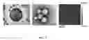 Fig. 04 - Highly permeable polymeric membranes