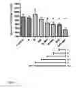 Fig. 02 - PHARMACEUTICAL COMPOSITION, METHODS FOR TREATING AND USES THEREOF