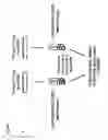 Fig. 02 - Activators of pyruvate kinase M2 and methods of treating disease