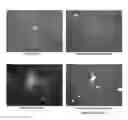 Fig. 01 - Composition Comprising Polysaccharide Extracted from Panax Ginseng Preventing and Treating Liver Diseases