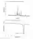 Fig. 02 - PHARMACEUTICAL COMPOSITION, METHODS FOR TREATING AND USES THEREOF