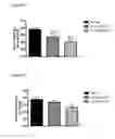 Fig. 04 - PHARMACEUTICAL COMPOSITION, METHODS FOR TREATING AND USES THEREOF