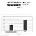 Fig. 02 - COMPOSITION AND METHODS USED DURING ANTI-HIV TREATMENT