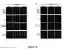 Fig. 12 - COMPOSITION AND METHODS USED DURING ANTI-HIV TREATMENT