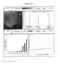 Fig. 07 - Neurons, astrocytes and oligodendrocytes differentiated from a mammalian pluripotent or neural stem cells exposed to a pyridine deriviative