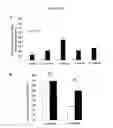 Fig. 08 - Neurons, astrocytes and oligodendrocytes differentiated from a mammalian pluripotent or neural stem cells exposed to a pyridine deriviative