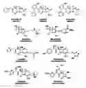 Fig. 01 - BATE-LACTAMASE INHIBITORS