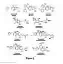 Fig. 02 - BATE-LACTAMASE INHIBITORS