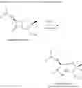 Fig. 05 - BATE-LACTAMASE INHIBITORS