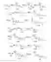 Fig. 01 - AMINE COMPOUND AND USE THEREOF