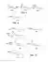 Fig. 06 - AMINE COMPOUND AND USE THEREOF