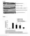 Fig. 02 - THERAPEUTIC TREATMENT