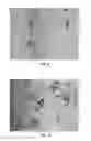 Fig. 06 - Bait Spray for Controlling Ant Populations