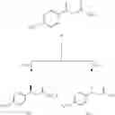 Fig. 30 - Compounds advantageous in the treatment of central nervous system diseases and disorders