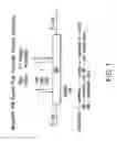 Fig. 02 - Methods for the production of functional protein from DNA having a nonsense mutation and the treatment of disorders associated therewith