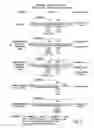 Fig. 03 - Methods for the production of functional protein from DNA having a nonsense mutation and the treatment of disorders associated therewith