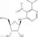 Fig. 11 - Methods for the production of functional protein from DNA having a nonsense mutation and the treatment of disorders associated therewith