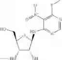 Fig. 12 - Methods for the production of functional protein from DNA having a nonsense mutation and the treatment of disorders associated therewith