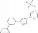 Fig. 1215 - Methods for the production of functional protein from DNA having a nonsense mutation and the treatment of disorders associated therewith