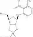 Fig. 14 - Methods for the production of functional protein from DNA having a nonsense mutation and the treatment of disorders associated therewith