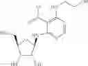 Fig. 15 - Methods for the production of functional protein from DNA having a nonsense mutation and the treatment of disorders associated therewith