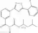 Fig. 1693 - Methods for the production of functional protein from DNA having a nonsense mutation and the treatment of disorders associated therewith
