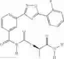Fig. 1698 - Methods for the production of functional protein from DNA having a nonsense mutation and the treatment of disorders associated therewith