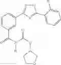Fig. 1704 - Methods for the production of functional protein from DNA having a nonsense mutation and the treatment of disorders associated therewith