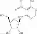 Fig. 19 - Methods for the production of functional protein from DNA having a nonsense mutation and the treatment of disorders associated therewith