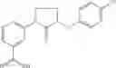 Fig. 228 - Methods for the production of functional protein from DNA having a nonsense mutation and the treatment of disorders associated therewith