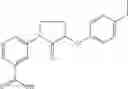 Fig. 232 - Methods for the production of functional protein from DNA having a nonsense mutation and the treatment of disorders associated therewith