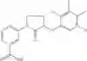 Fig. 233 - Methods for the production of functional protein from DNA having a nonsense mutation and the treatment of disorders associated therewith