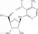 Fig. 31 - Methods for the production of functional protein from DNA having a nonsense mutation and the treatment of disorders associated therewith