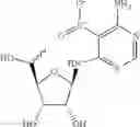 Fig. 34 - Methods for the production of functional protein from DNA having a nonsense mutation and the treatment of disorders associated therewith