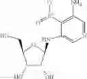 Fig. 37 - Methods for the production of functional protein from DNA having a nonsense mutation and the treatment of disorders associated therewith