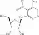 Fig. 57 - Methods for the production of functional protein from DNA having a nonsense mutation and the treatment of disorders associated therewith